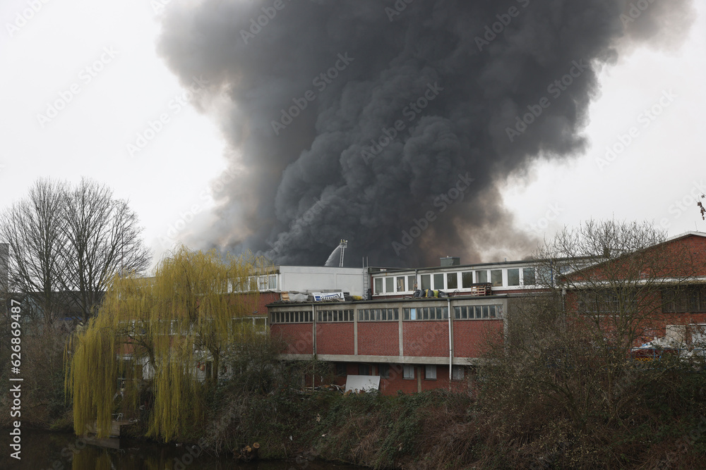 Fototapeta premium steam train in the forest