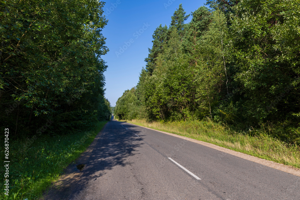 Paved road through the forest