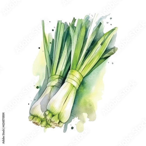 Leeks watercolor paint