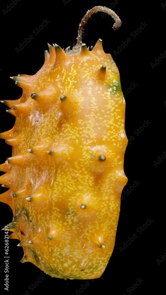 Vertical video. A halved Kiwano cucumber with spikes. It is rotating on a black background.