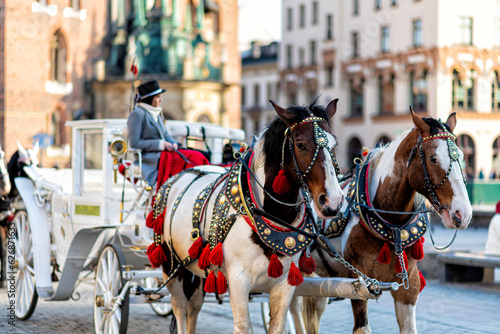 horses with carriage on the main square of Krakow