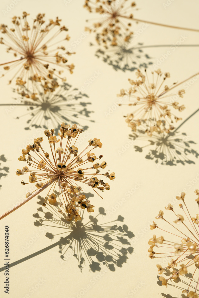 Obraz premium Dry flowers allium pattern vintage toned on beige background. Floral card. Poster. Boho style. For publication, poster, screensaver, wallpaper, postcard, banner, cover, post. Side view.