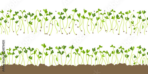 Set of seedlings backgrounds. Horizontal seamless border of young shoots microgreens. Green sprout leaves on the soil. Plants growing in the ground.