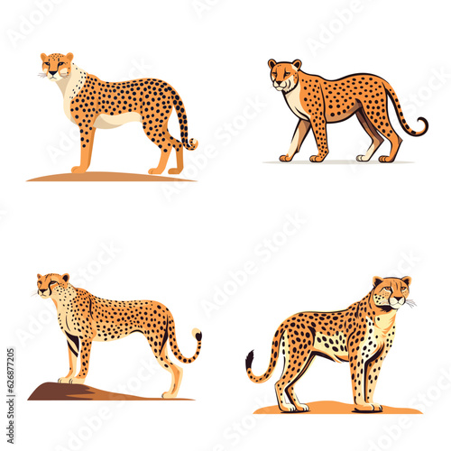 set of cheetah