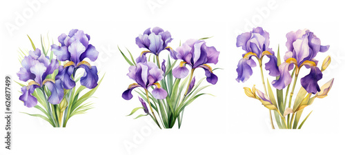 flora iris flowers watercolor ai generated