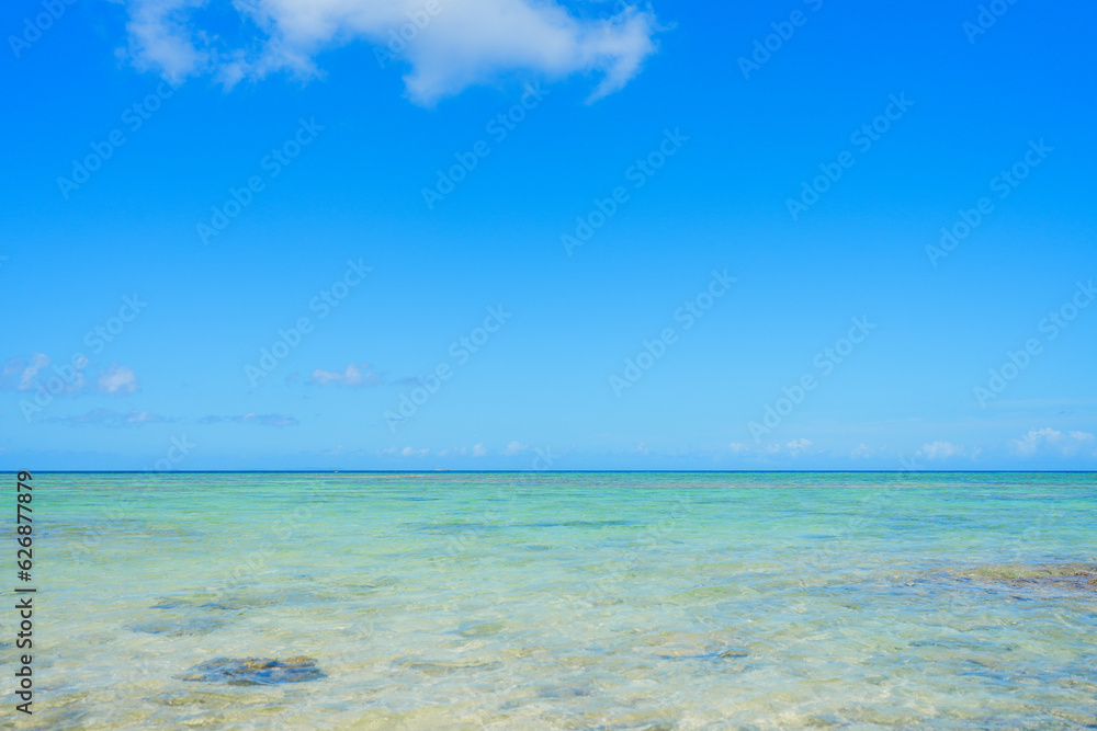 透き通った美しい沖縄の青い海