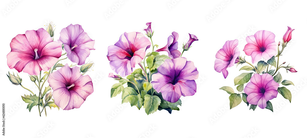 background petunia flowers watercolor ai generated background petunia flowers watercolor ai generated