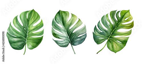 green philodendron leaf watercolor ai generated