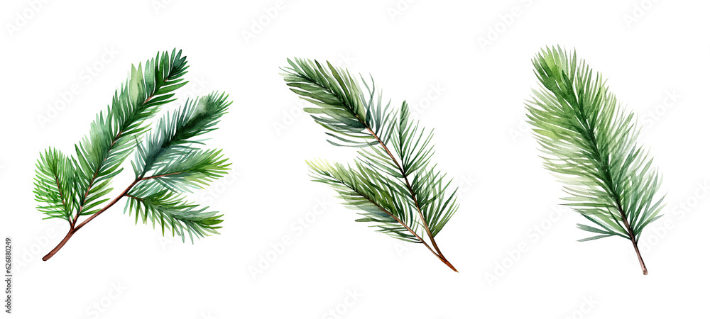 evergreen pine leaf watercolor ai generated evergreen pine leaf watercolor ai generated