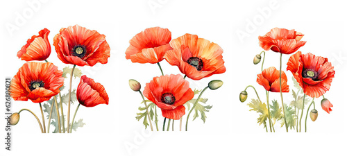 Fototapeta Naklejka Na Ścianę i Meble -  blossom poppy flowers watercolor ai generated