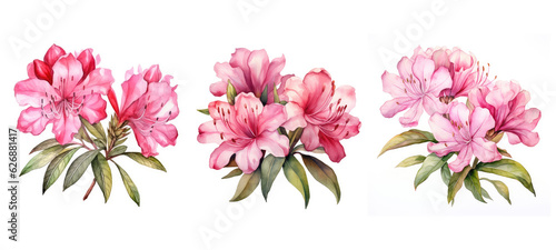 spring rhododendron flowers watercolor ai generated photo