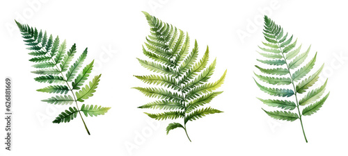 jungle royal fern leaf watercolor ai generated