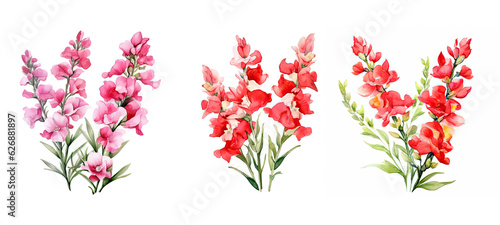 blossom snapdragon flowers watercolor ai generated photo