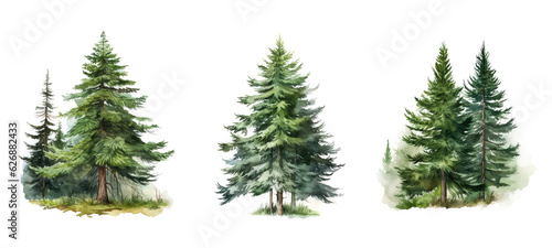 Tablou canvas background spruce tree watercolor ai generated