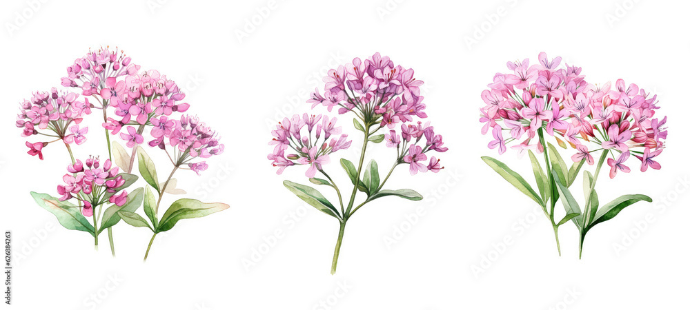 a valerian watercolor ai generated a valerian watercolor ai generated