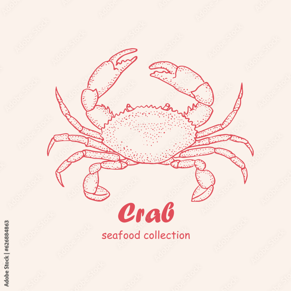Seafood, crab, logo, doodle, line art ,seafood illustration , crustacean , crabs , crustaceans, seafood , crawfish, watercolor, food illustrations Seafood, crab, logo, doodle, line art ,seafood illustration , crustacean , crabs , crustaceans, seafood , crawfish, watercolor, food illustrations