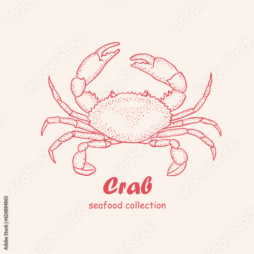 Seafood, crab,  logo, doodle, line art ,seafood illustration , crustacean , crabs , crustaceans, seafood , crawfish, watercolor, food illustrations