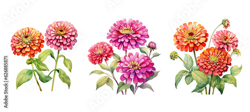 Fototapeta Naklejka Na Ścianę i Meble -  petal zinnia flowers watercolor ai generated