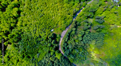 The road passing along the dense green forest in the mountains in early spring. Top view from a drone
