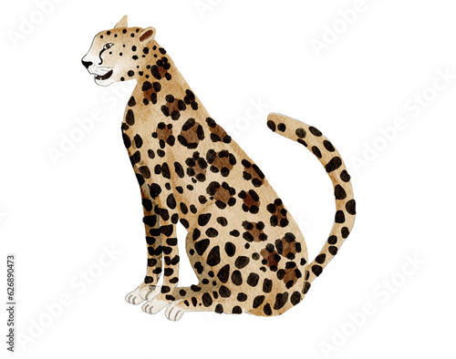 Wild animal, Leopard  watercolor painting