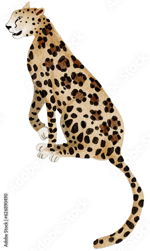 Fototapeta Naklejka Na Ścianę i Meble -  Wild animal, Leopard  watercolor painting