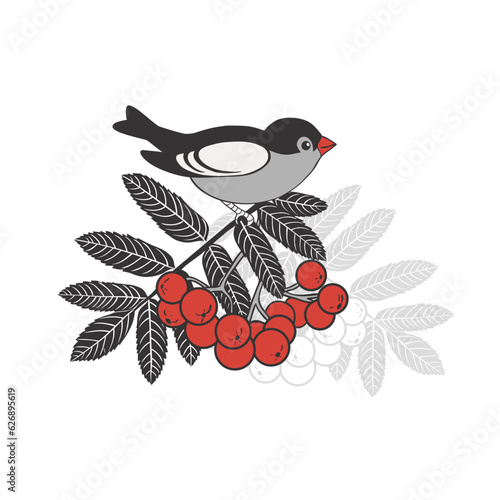  Bird sitting on a rowan branch with red berries. Colored vector drawing on  white background. .
