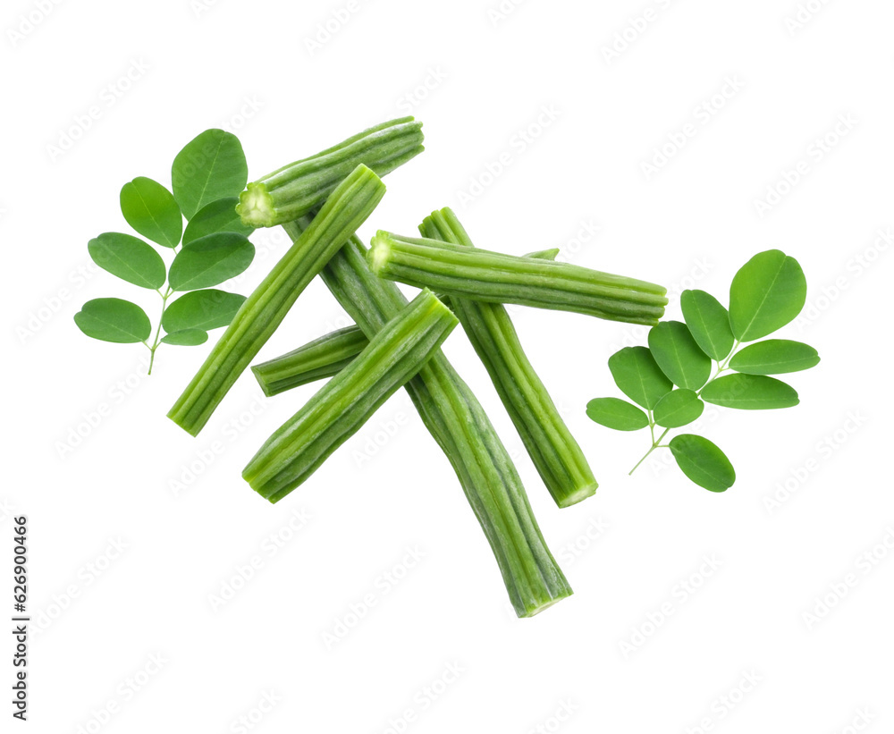 Moringa leaves have medicinal properties. top view transparent png Moringa leaves have medicinal properties. top view transparent png