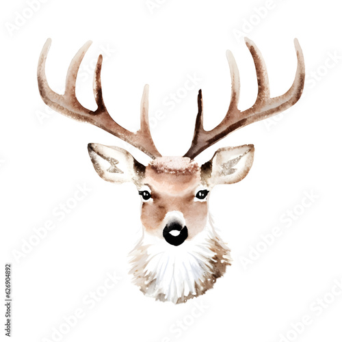 Watercolor hand drawn vector illustration head of deer with antler isolated on white