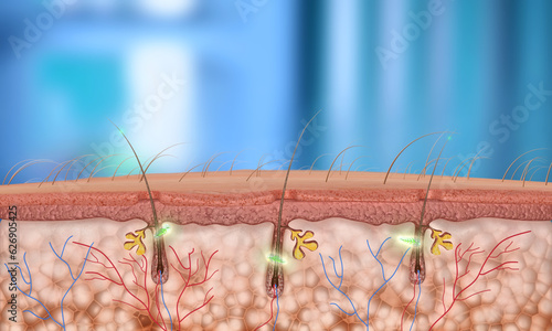 3d Render Hair Follicle close-up (Depth of Field)