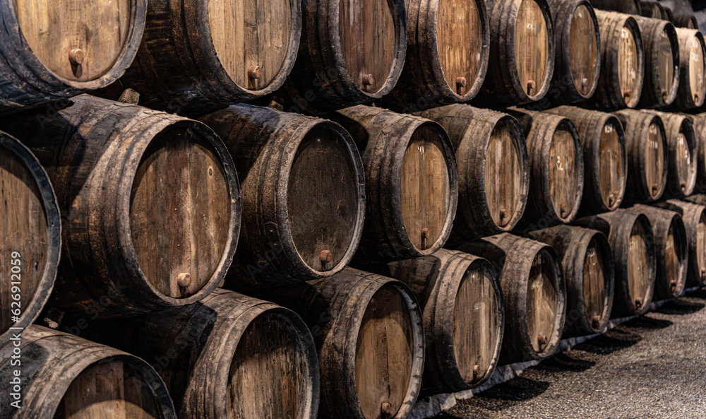 wine barrels in a cellar