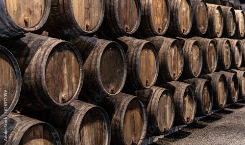 wine barrels in a cellar