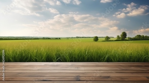 Wooden floor with meadow background against blue sky, natural eco-friendly design