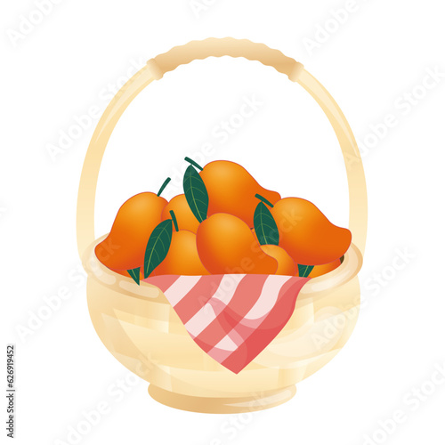 manggo in basket illustration vector photo