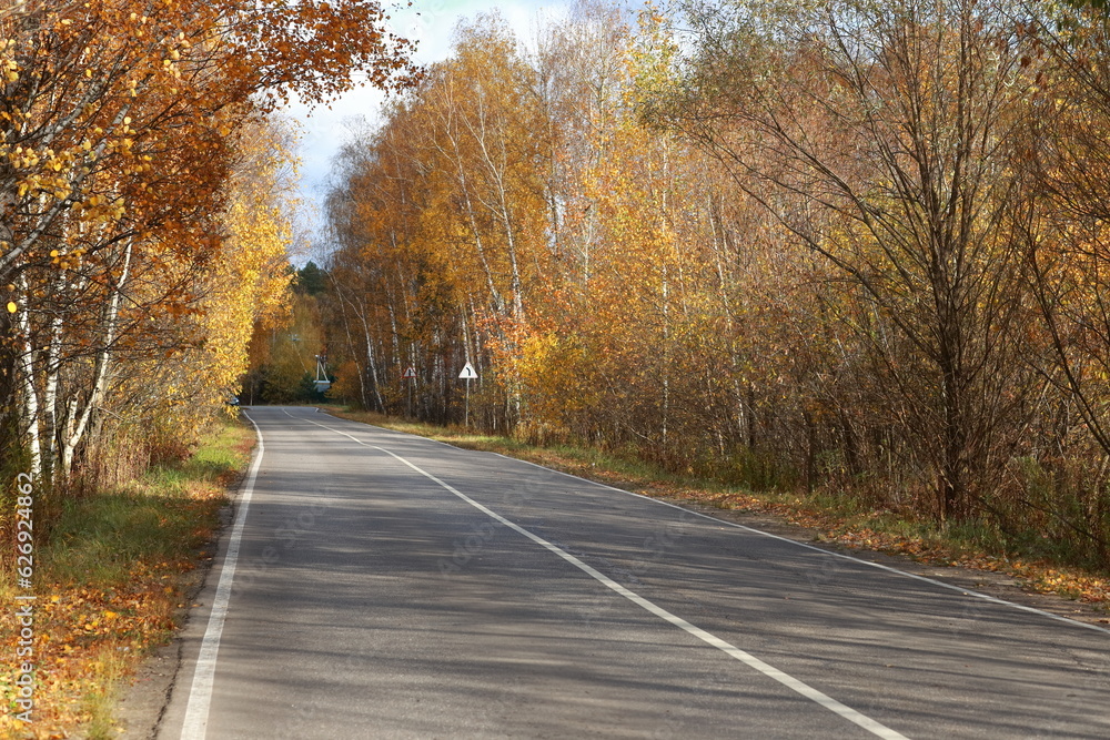 Rural autumn landscape. Small road, sunny day, trees with orange foliage. Warm, bright colors.