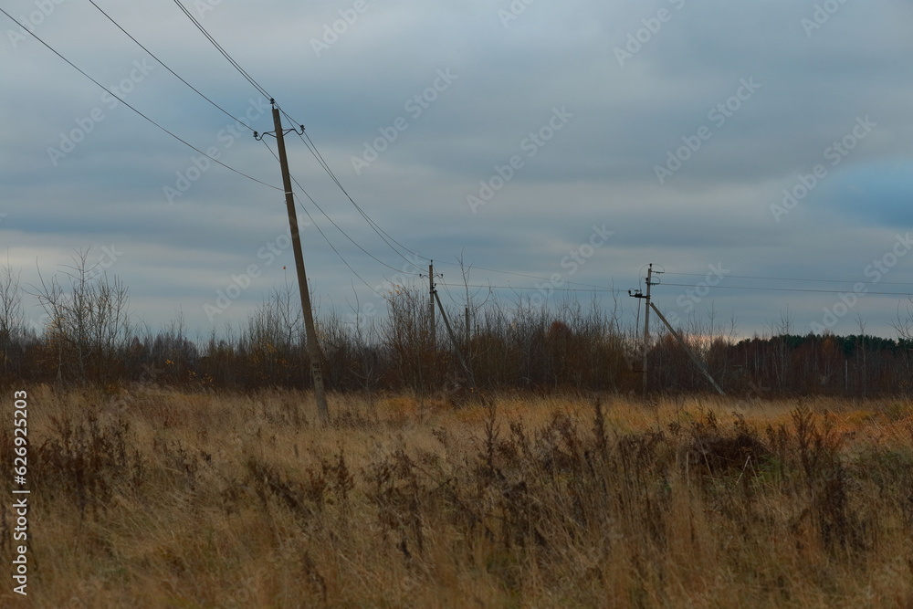 Field of yellow dry grass, old power lines. Autumn rural landscape. Field of yellow dry grass, old power lines. Autumn rural landscape.