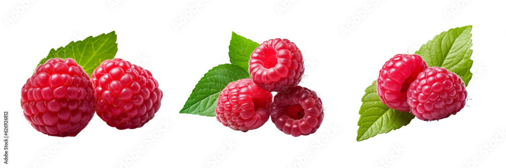 Fresh ripe raspberries isolated on transparent background Fresh ripe raspberries isolated on transparent background