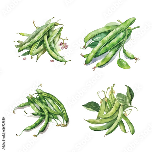 Green beans watercolor paint.