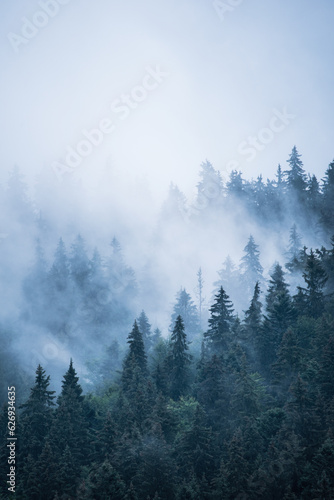 Fototapeta Naklejka Na Ścianę i Meble -  Misty mountain landscape