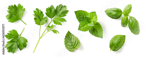 set / collection of fresh Mediterranean herbs: parsley, mint and basil leaves and twigs isolated over a transparent background, herbal food and cooking design elements, top view / flat lay