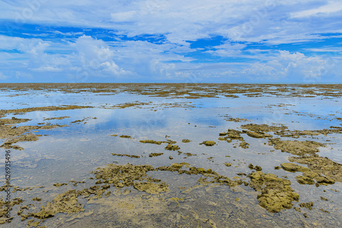 Landscape from the reefs of Coroa Vermelha beach, tourist destination of Bahia state at Santa Cruz Cabralia, Brazil.  photo