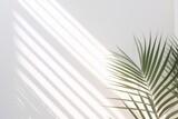 White wall mockup background with palm leaf and soft shadow. Empty surface with copy space minimal texture