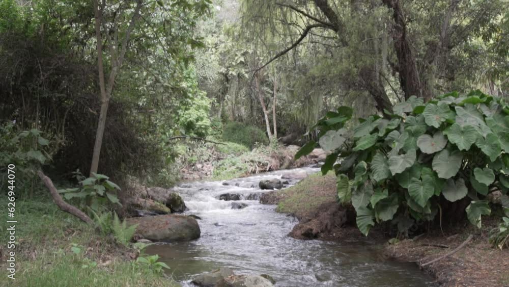 Rural landscape with river and vegetation Rural landscape with river and vegetation