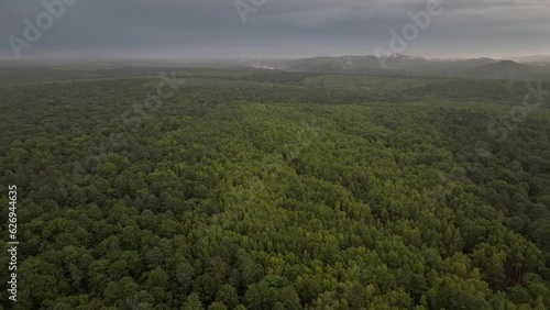 Aerial view of thick forest in the Changbaishan mountains in Jilin province, China, a border area with North Korea and Russia photo