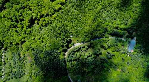 The road passing along the dense green forest in the mountains in early spring. Top view from a drone © Mariyka LnT