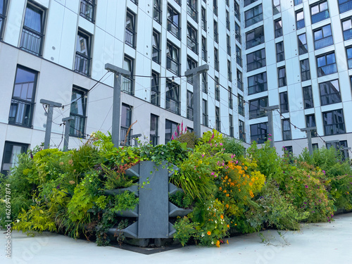 Living wall for urban greening in the city. Vertical gardening in a residential building. Green wall garden in Groningen for climate adaptation. Green fascade garden.  photo
