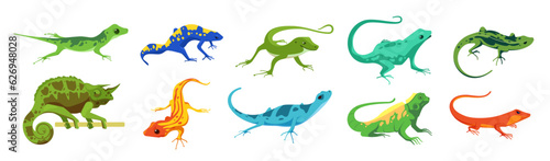 Chameleon lizards. Cute mexican salamander characters, zoo exotic reptile zoo animal for kids comic design. Vector colorful set. Different small comic spotted amphibians with tails