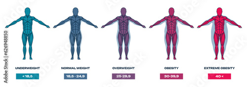 Body mass index. Human silhouette with different shapes and sizes, underweight, overweight and obese people. Mass index chart vector illustration. Anatomy formula, unhealthy weight