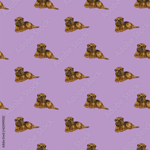 Brussels griffon holiday wallpaper. Square Seamless background with dog illustrations, drawn style, repeatable violet plain pattern with drawn dogs. Brush hand-drawn style. Mongrel Dogs Doodles. © Natalia