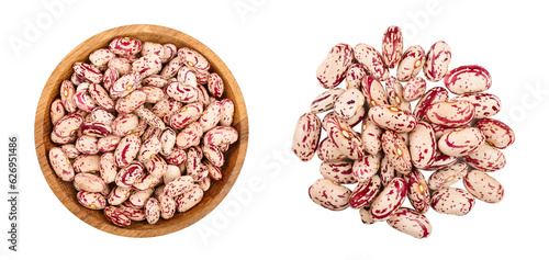 variegated kidney bean in wooden bowl isolated on white background. Top view. Flat lay
