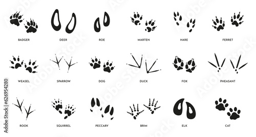 Animal footprints. Wild foot paw prints of different animals, foot silhouette trail of wild bests, dog fox elk ferret and deer paw. Vector isolated set. Domestic pets and wildlife traces